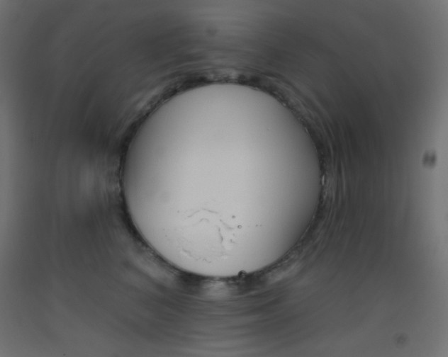 X0000093520616200710121129