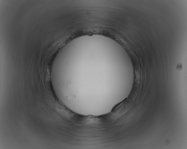 X0000093520617200710121129