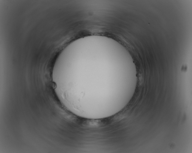 X0000093520618200710121129