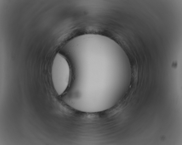 X0000093520619200710121129