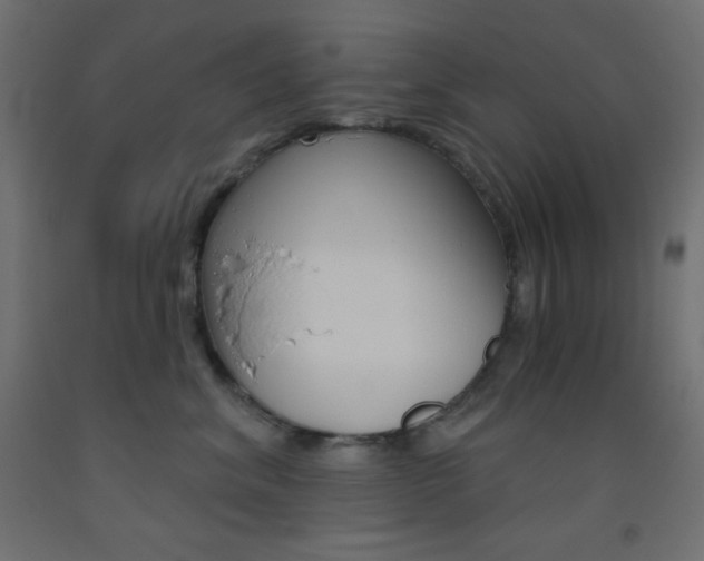 X0000093520620200710121129