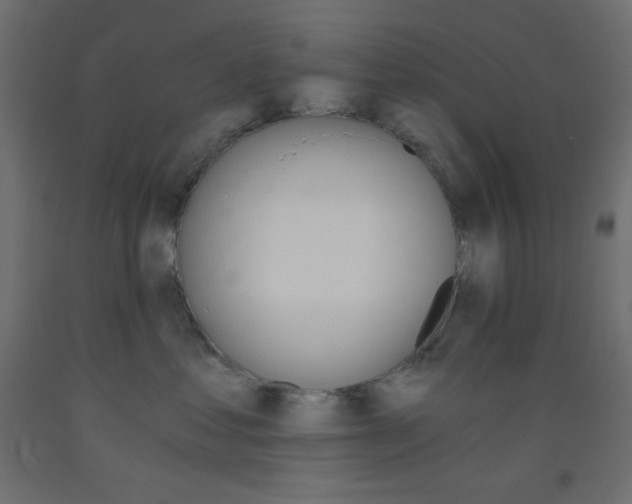 X0000093520621200710121129