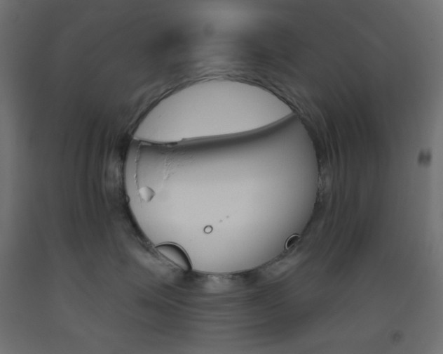 X0000093520623200710121129