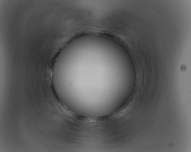 X0000093520624200710121129