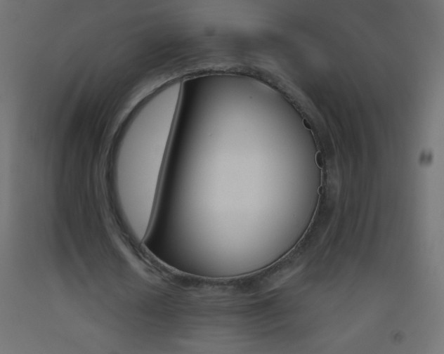 X0000093520626200710121128