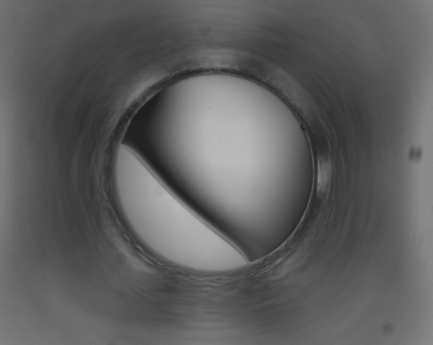 X0000093520627200710121128