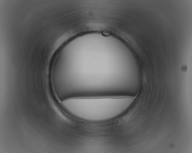 X0000093520630200710121128