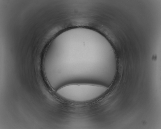 X0000093520631200710121129