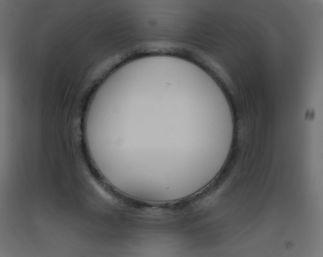 X0000093520633200710121129