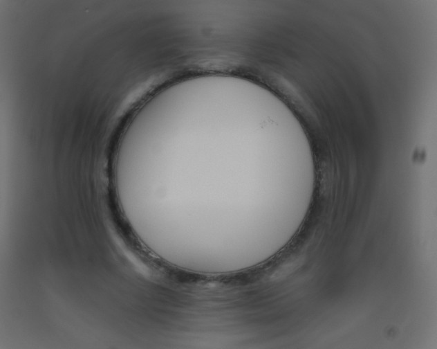 X0000093520634200710121129