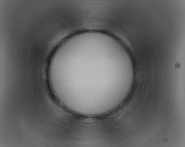 X0000093520635200710121129