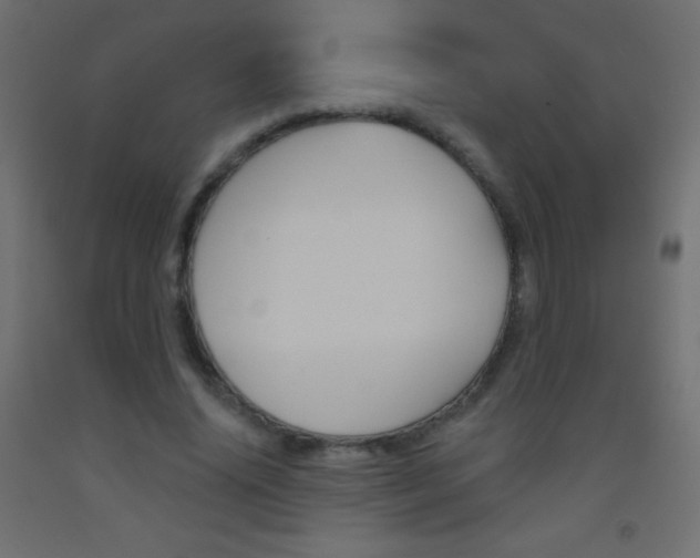X0000093520636200710121129