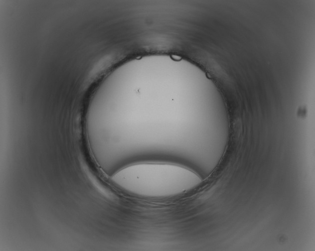 X0000093520638200710121129