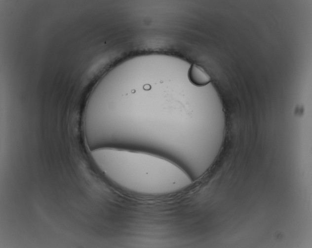 X0000093520640200710121129