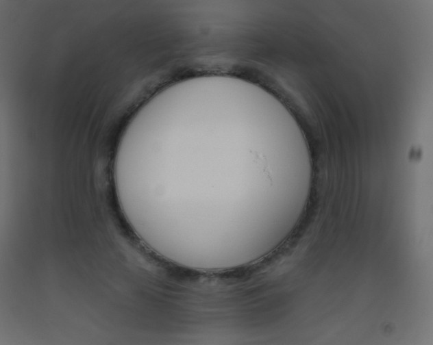 X0000093520641200710121129