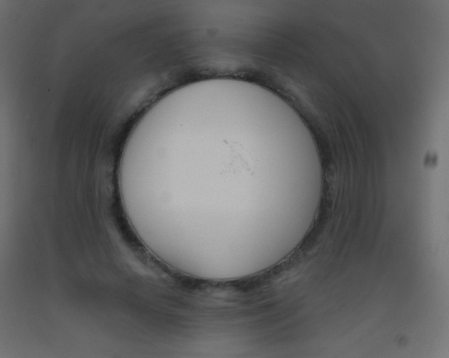 X0000093520642200710121129