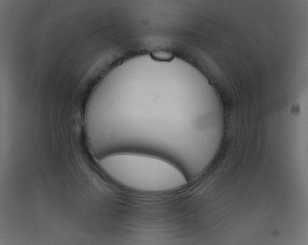 X0000093520644200710121129