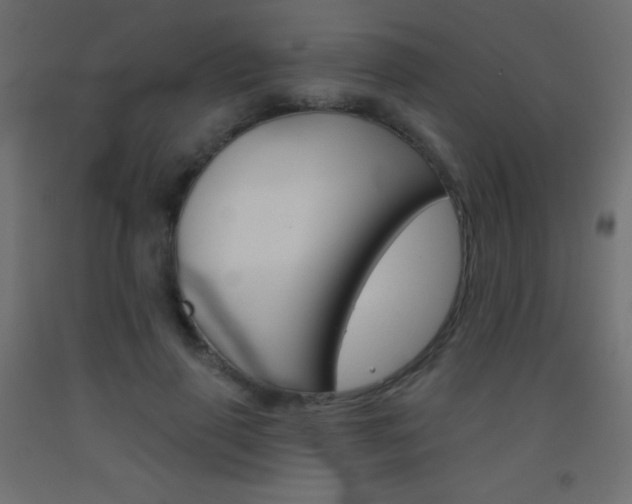 X0000093520645200710121129