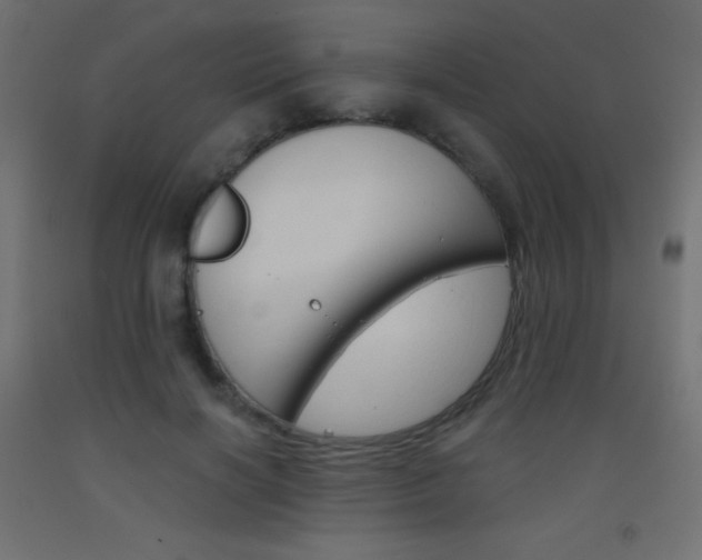 X0000093520646200710121129