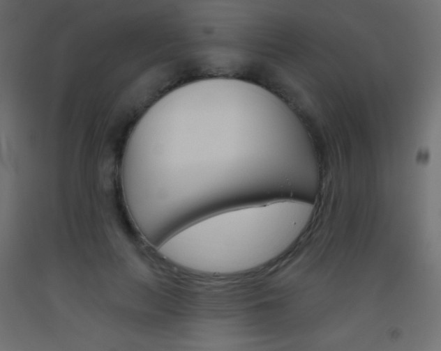 X0000093520647200710121129