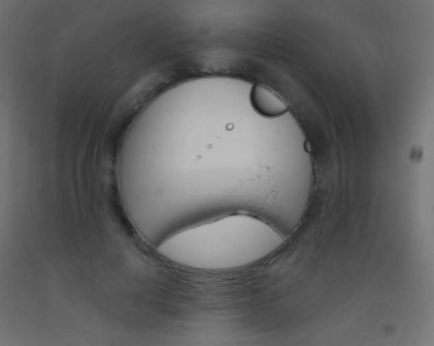 X0000093520648200710121129