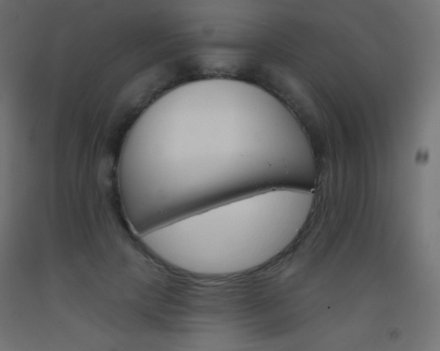 X0000093520649200710121129