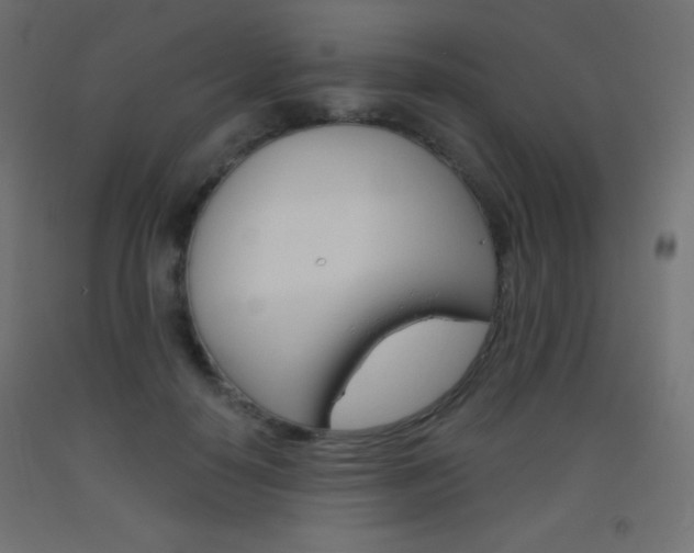 X0000093520650200710121129