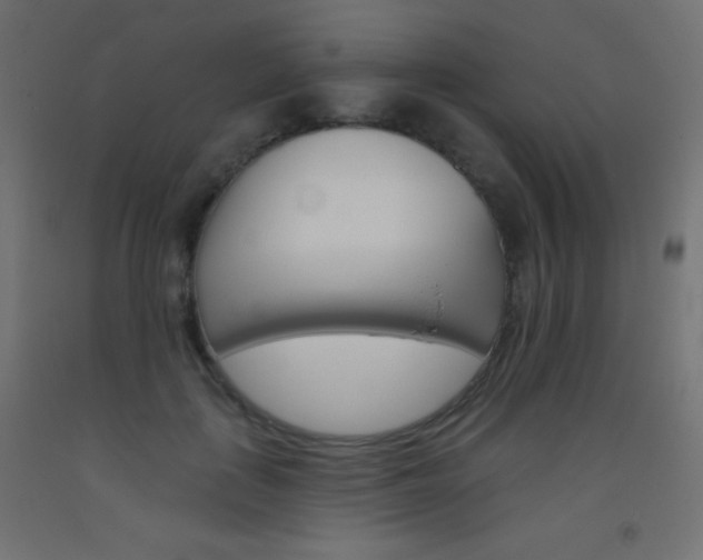 X0000093520651200710121129