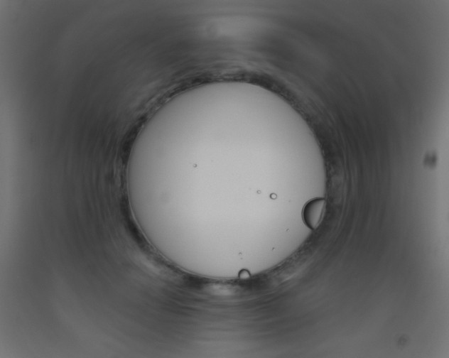 X0000093520654200710121129