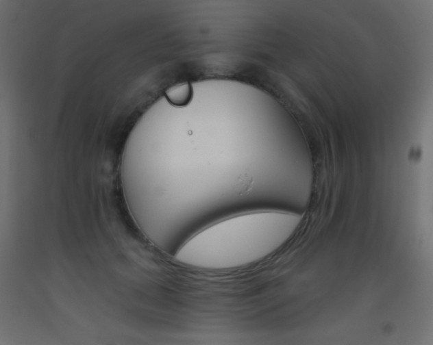 X0000093520655200710121129
