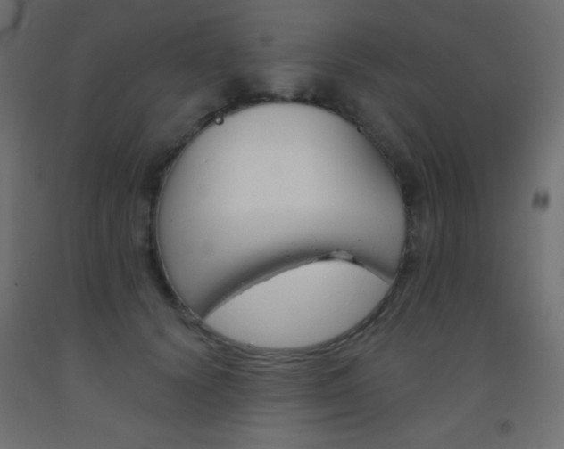 X0000093520656200710121129