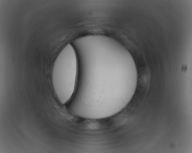 X0000093520658200710121129