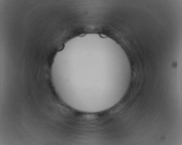 X0000093520659200710121129