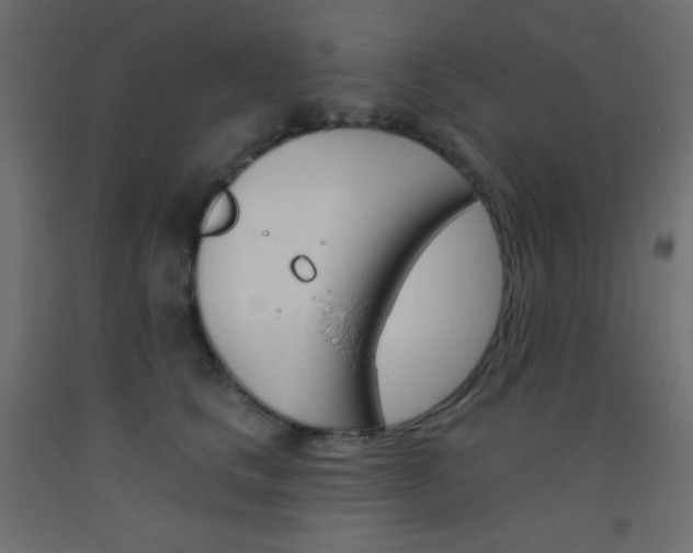 X0000093520661200710121129