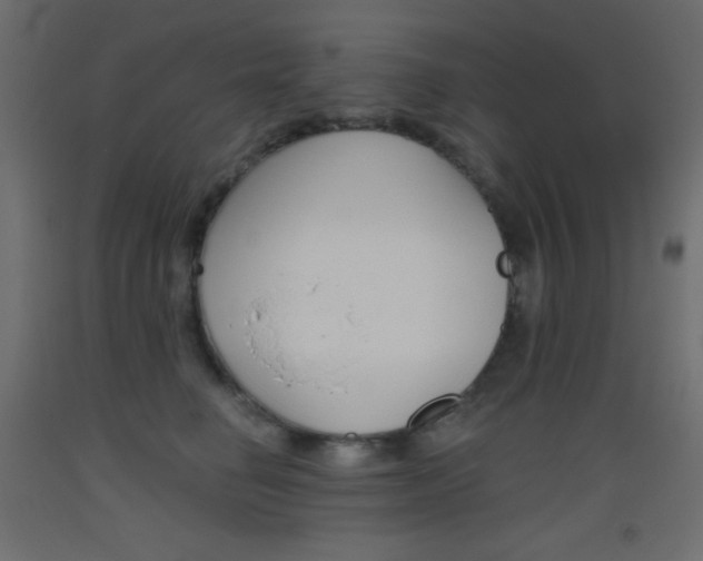 X0000093520662200710121129