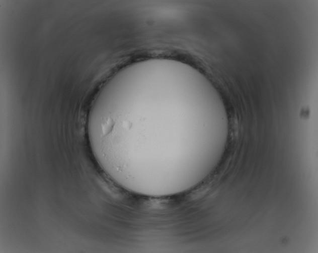 X0000093520664200710121129