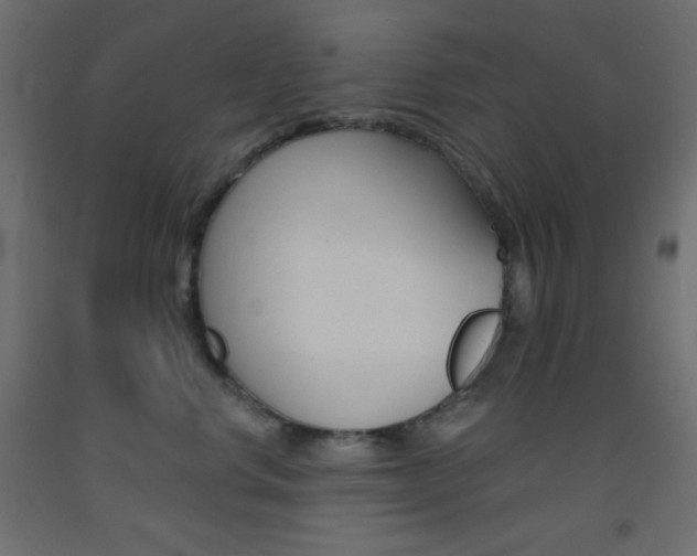 X0000093520668200710121129