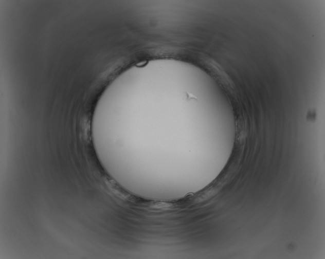 X0000093520669200710121129