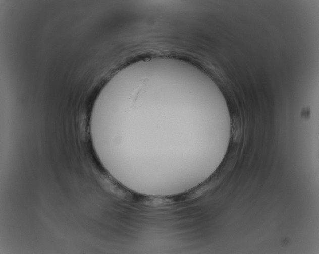 X0000093520670200710121129