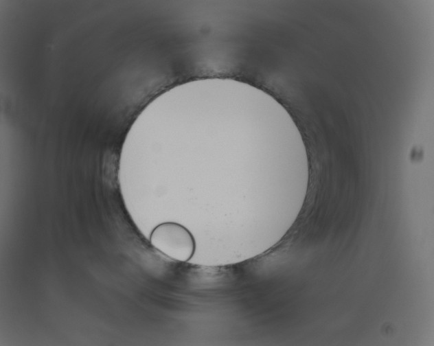 X0000093520672200710121129