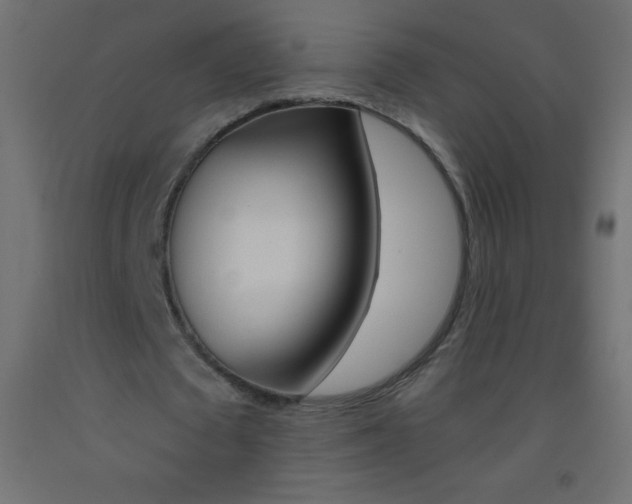 X0000093520673200710121128