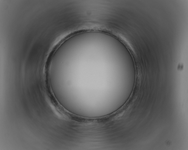 X0000093520674200710121128