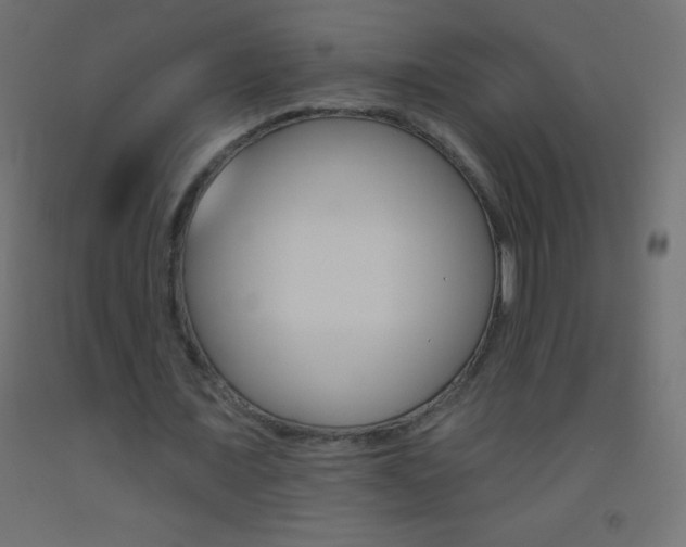 X0000093520675200710121128