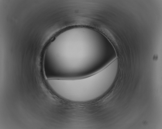 X0000093520676200710121128