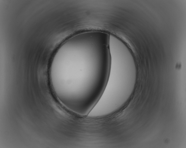 X0000093520677200710121128