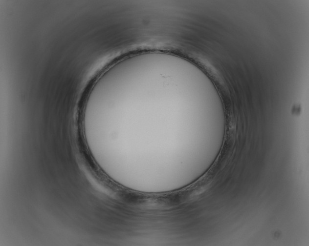X0000093520678200710121128