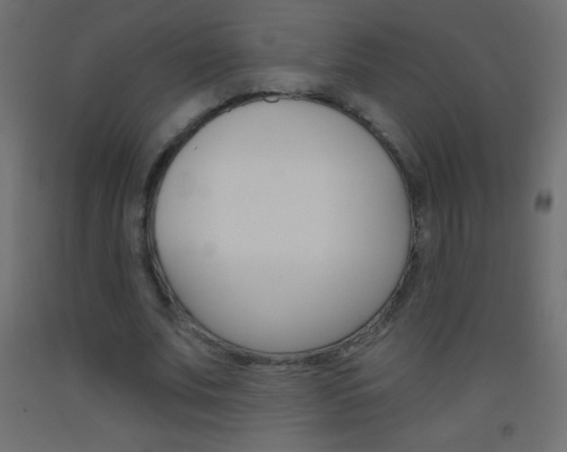 X0000093520679200710121128