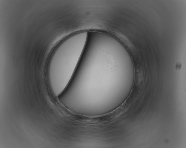 X0000093520680200710121128