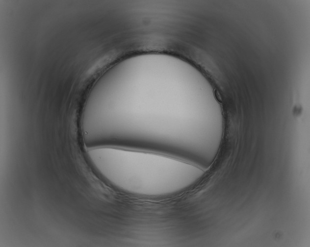 X0000093520681200710121128