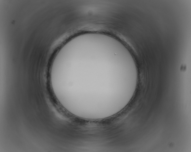 X0000093520682200710121128